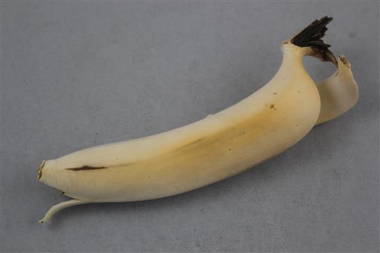 A Japanese ivory model of a partially peeled banana, early 20th century, 18.5cm. slight losses